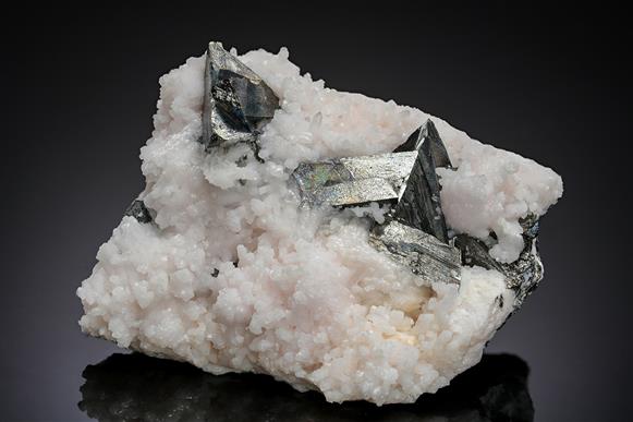 CC11304 specimen image
