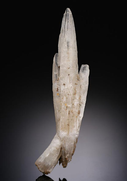 CC11321 specimen image