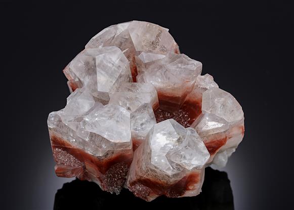 CC11333 specimen image