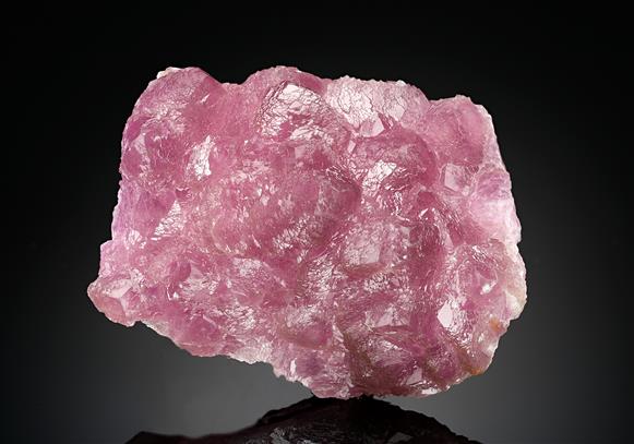 CC11340 specimen image