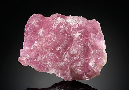 CC11340 specimen image