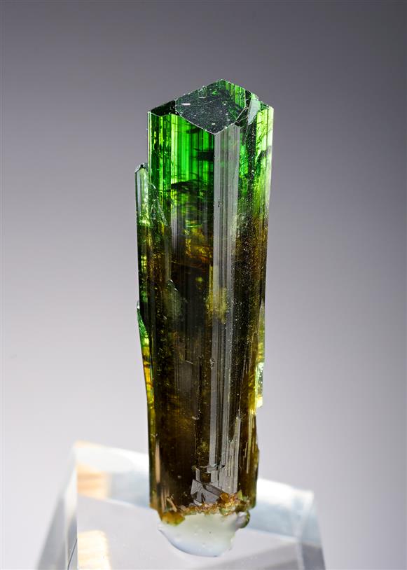 CC11345 specimen image