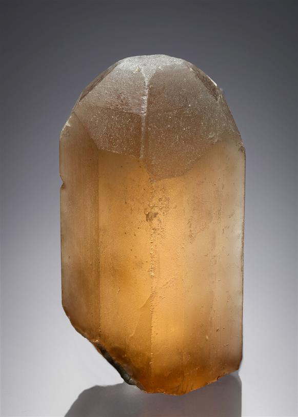 CC11349 specimen image