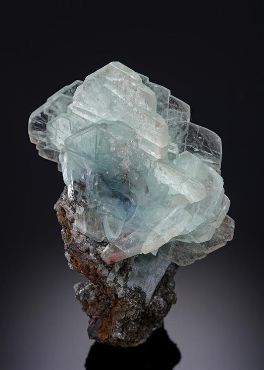 CC11351 specimen image