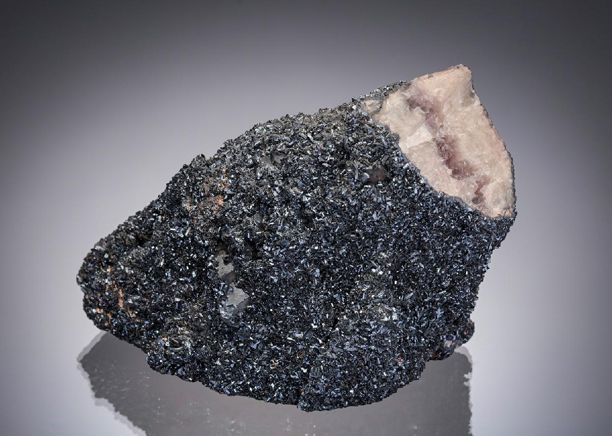 CC11428 specimen image
