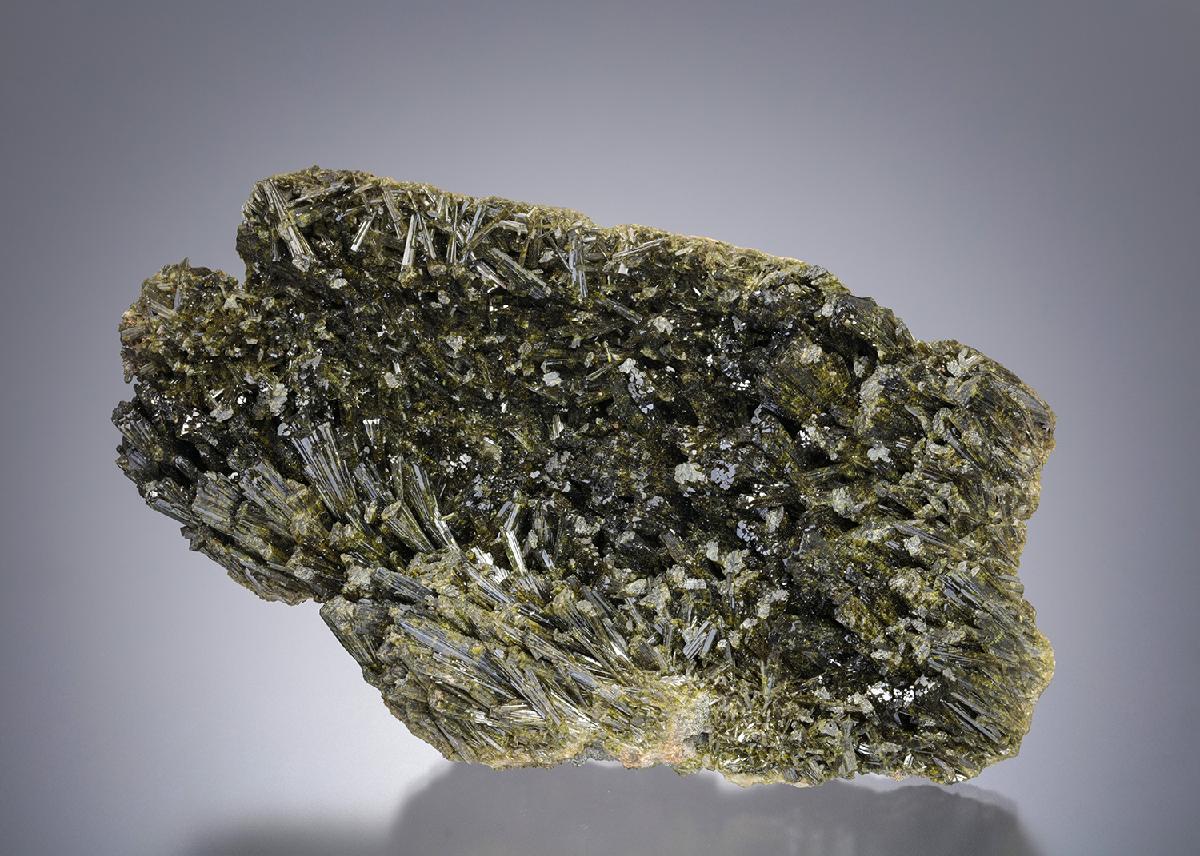 CC11446 specimen image
