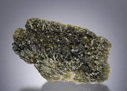 CC11446 specimen image