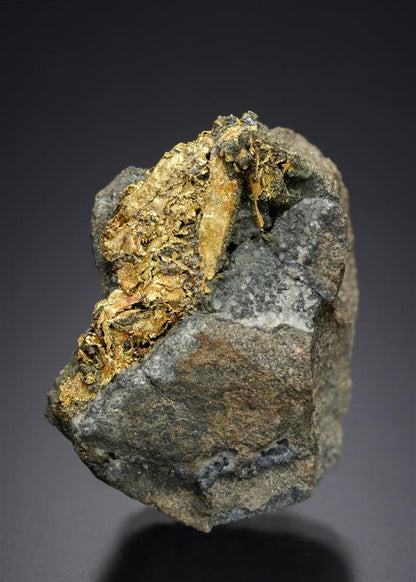 CC11450 specimen image