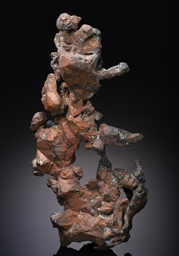 CC11458 specimen image