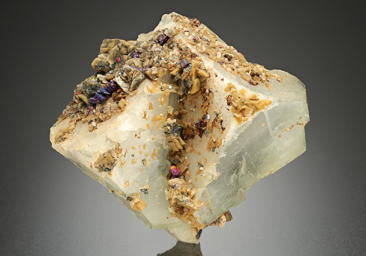 CC11459 specimen image