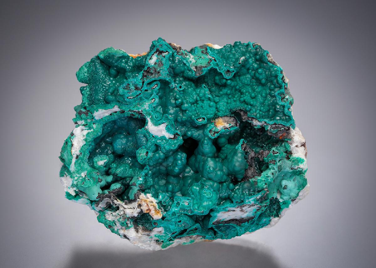 CC11472 specimen image
