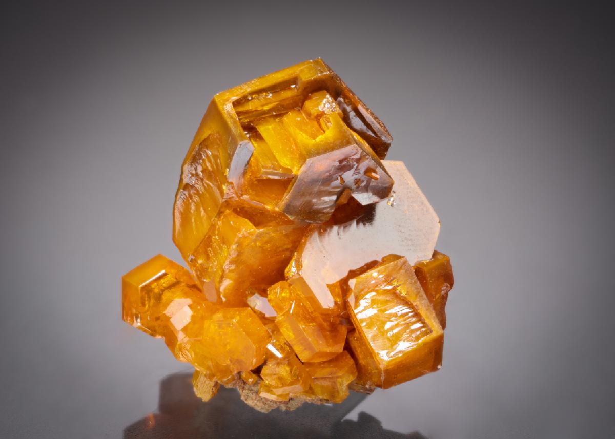 CC11506 specimen image