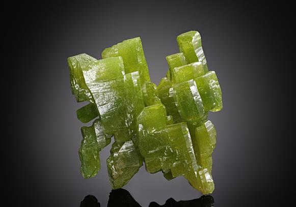 CC11510 specimen image