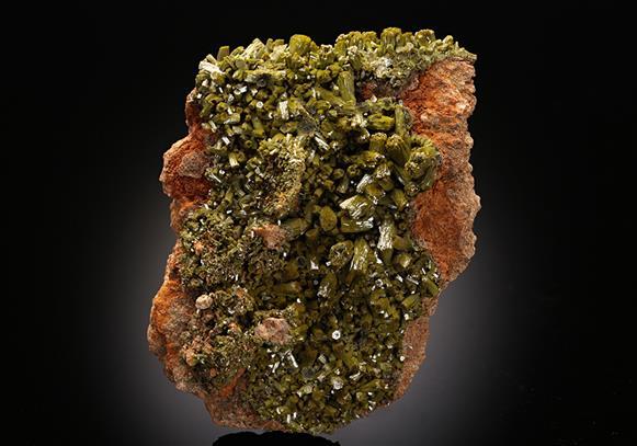 CC11516 specimen image