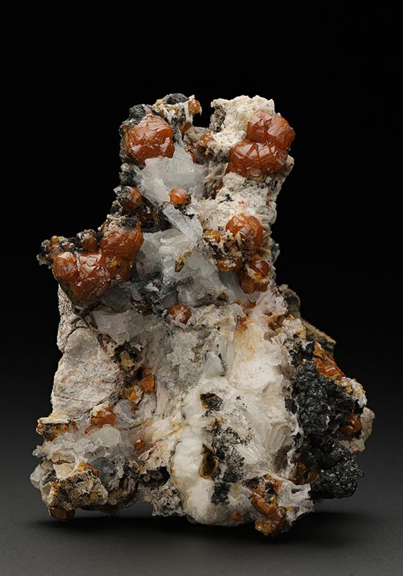 CC11517 specimen image