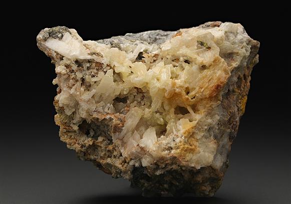 CC11521 specimen image