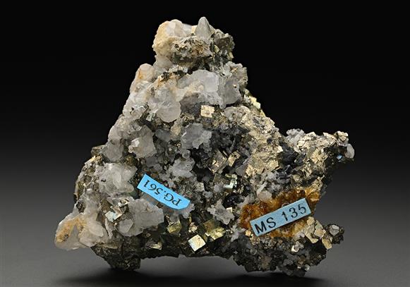 CC11524 specimen image