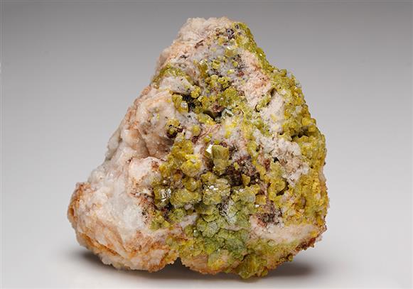 CC11535 specimen image