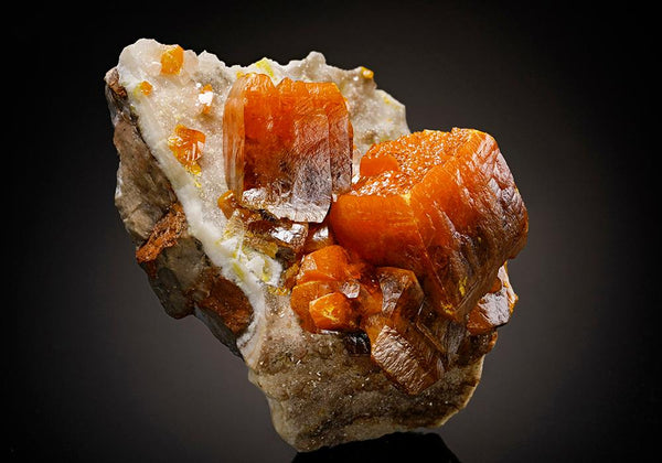 CC11538 specimen image