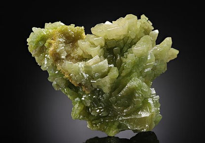 CC11582 specimen image