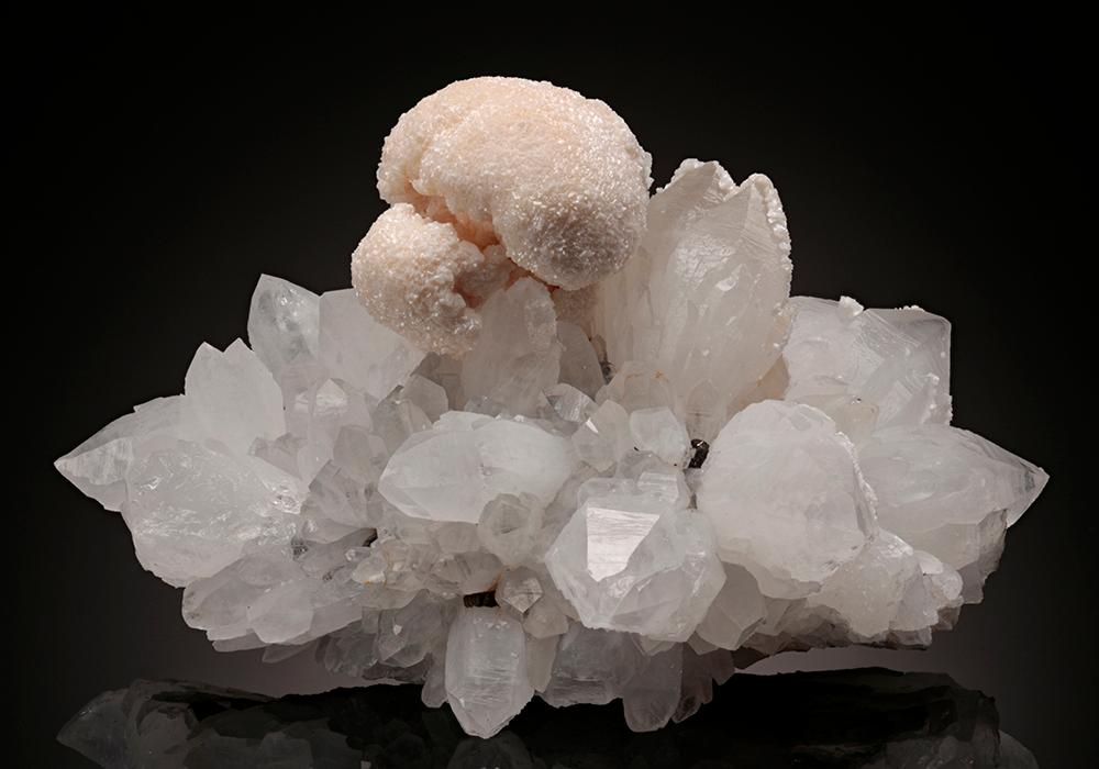 CC11590 specimen image