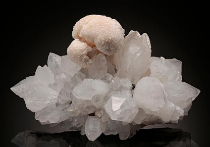 CC11590 specimen image