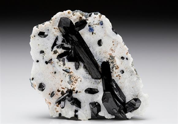 CC11606 specimen image