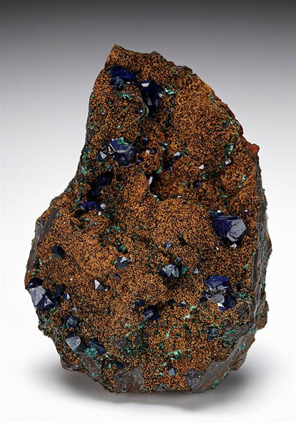 CC11611 specimen image