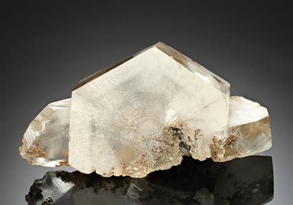 CC11625 specimen image