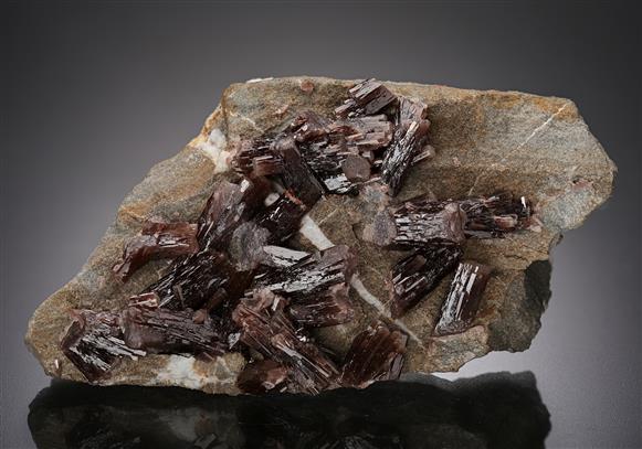 CC11636 specimen image