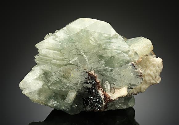CC11652 specimen image