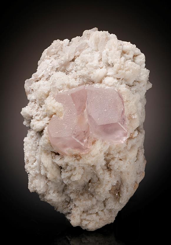 CC11672 specimen image