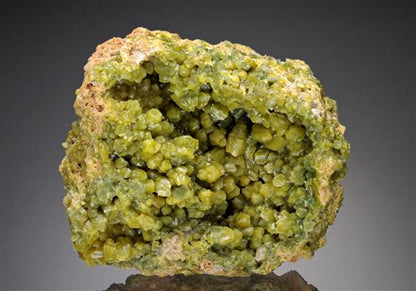 CC11675 specimen image