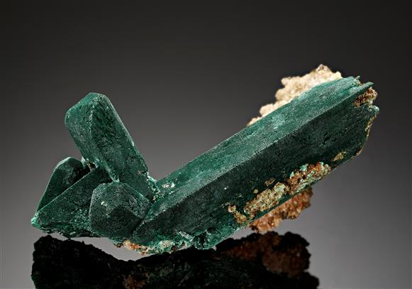 CC11680 specimen image
