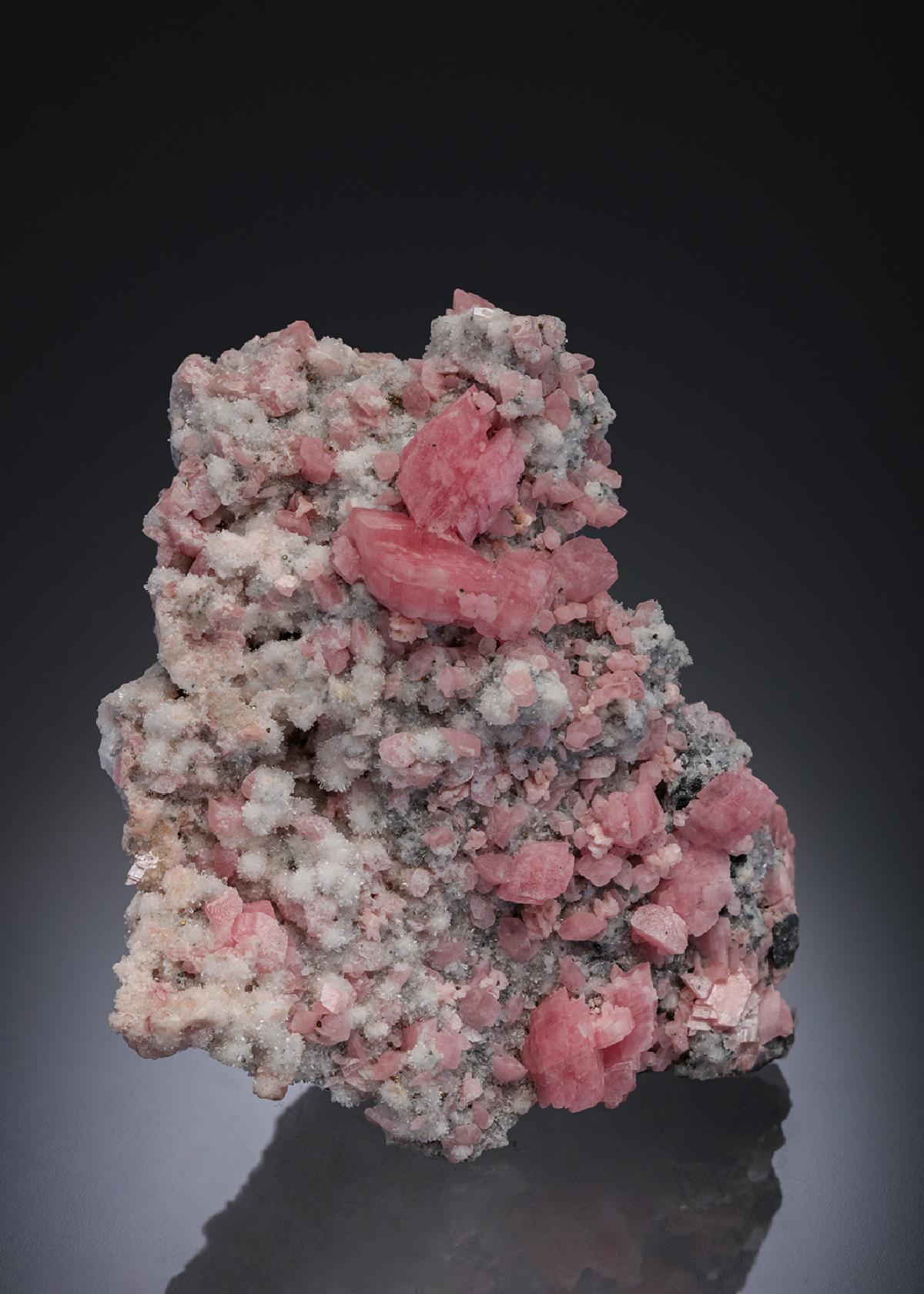 CC11693 specimen image