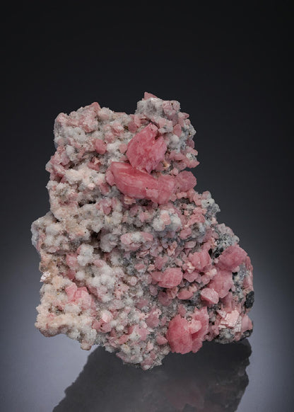 CC11693 specimen image