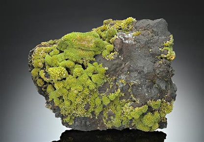 CC11707 specimen image