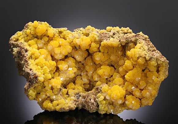 CC11708 specimen image