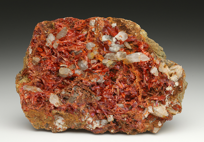 CC11715 specimen image