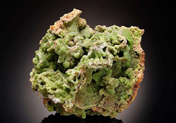 CC11718 specimen image