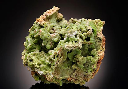 CC11718 specimen image