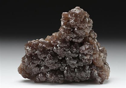 CC11729 specimen image
