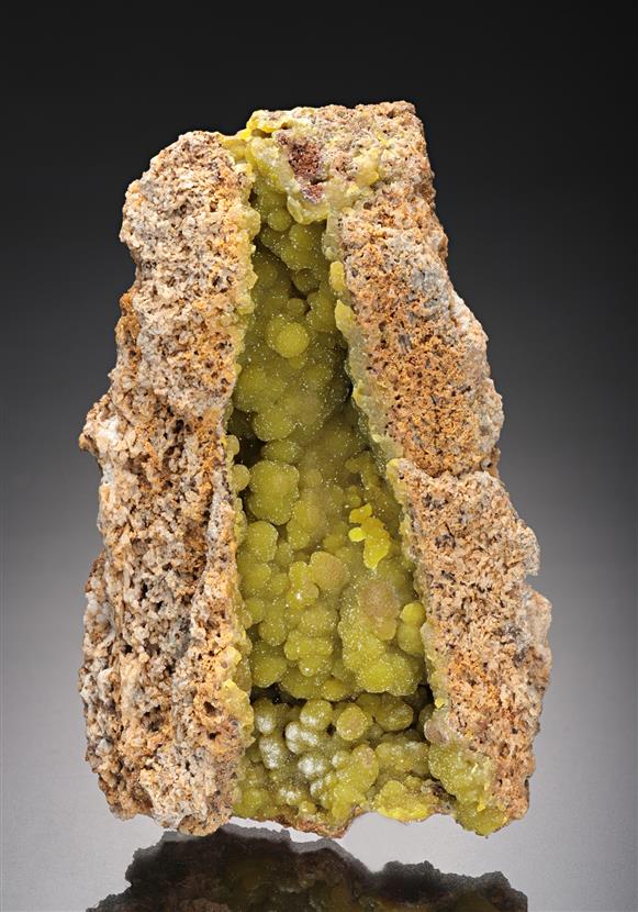 CC11734 specimen image