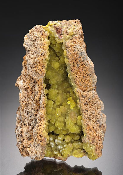 CC11734 specimen image