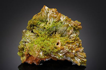 CC11744 specimen image