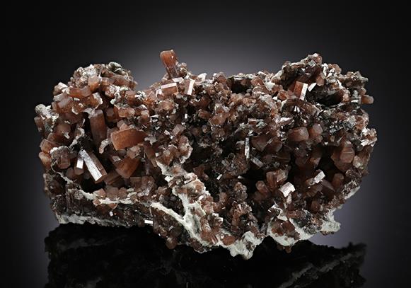 CC11749 specimen image