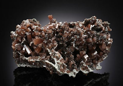 CC11749 specimen image