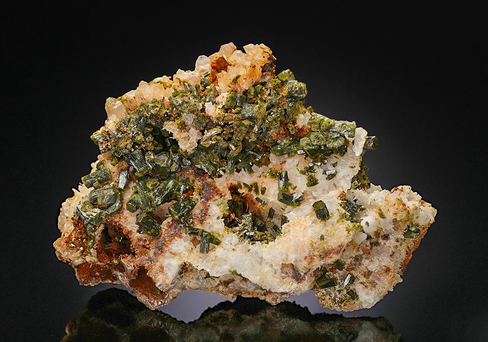 CC11755 specimen image
