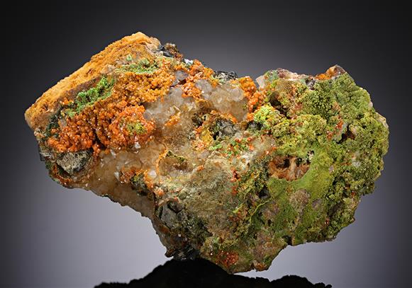 CC11767 specimen image