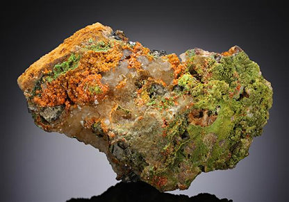 CC11767 specimen image